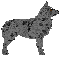 Eli's Thou Art Nouveau — “Prague”