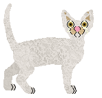 Profile image of Mockingbird's Kissed by Chaos