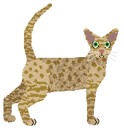 Solar Just Try Me at Nightwish — “Dare”