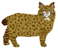 Fauvelle's Do the Fandango — “Fanny”