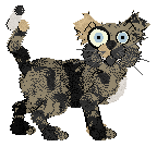 Spellbound's In The Middle at Wild Road — “Helcras”