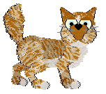 Calluna's Orange at Wild Road — “Kahel”