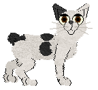 LiliPad's Be Good to Me at Wild Road — “Hedjet”