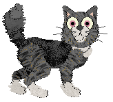 Tanglewood's Lit A Candle at Wild Road — “Candle”