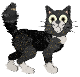 Tanglewood's Foggy Withal at Wild Road — “Foggy Withal”