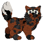 Sungraze's So Much More Than This at Wild Road — “Palisade”