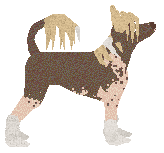 Blizzard Yunnan — “Django”