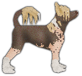 Profile image of Blizzard Yunnan