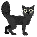 HK's Sorry You're Not A Winner at Wild Road — “Jayazi”