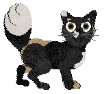 Nostalgic's Won't Go Quietly at Wild Road — “Imorr”