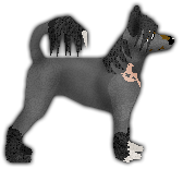 Profile image of Blizzard Tianguo