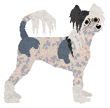 Blizzard Huayuán — “Hua”