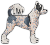 Profile image of Blizzard Huayuán