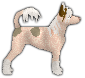 Profile image of Blizzard Judeui Liliang