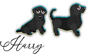 Profile image of Obzocky's Dax To The Future