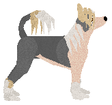 Blizzard Xingzuo — “Stella”