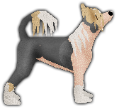 Profile image of Blizzard Xingzuo