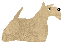 Energizing I Feel Alive — “Rita”