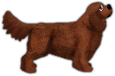 Profile image of Blizzard Passiflora