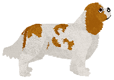 Blizzard Magic of Music — “Fryderyk”