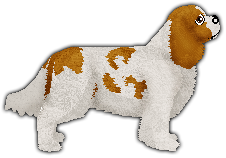 Profile image of Blizzard Magic of Music