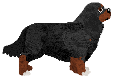 Blizzard Reveal Forgotten Dream — “Teodor”