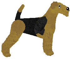 Energizing Raw Diet — “Andzia”