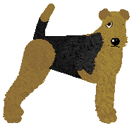 Profile image of Energizing Raw Diet