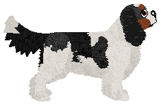 Blizzard Fur Elise — “Elisa”