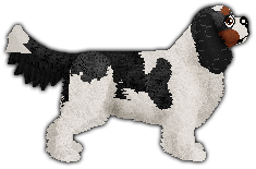 Profile image of Blizzard Fur Elise