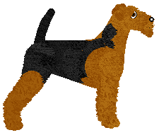 Energizing Smile — “Cleo”