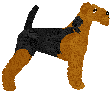 Energizing Smile — “Cleo”