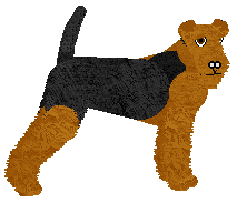 Profile image of Energizing Smile