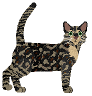 Blizzard Muddy Trail — “Shazzam”