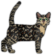 Profile image of Blizzard Muddy Trail