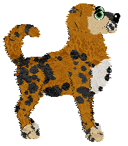 Sungraze's Shapeshifter at Fleur de Lis — “Metamorph”