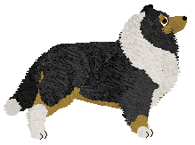 Rousseau's Free Spirit — “Colty”