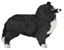 Saga's QUO DUST — “Dusty”