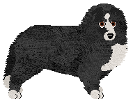 Profile image of Saga's QUO DUST