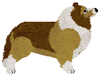 Energizing GOOD MORNING — “Sidu”