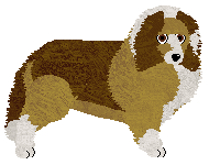 Profile image of Energizing GOOD MORNING