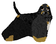 Profile image of Rosestone's Beginning Of the Tale