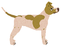 Dragosani BRAKUJĄCY ELEMENT — “Elio”