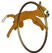 Moon Lake's Whale of a Time @ Mockingbird — “Beluga”