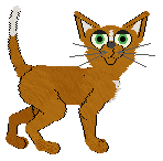 Moon Lake's Whale of a Time @ Mockingbird — “Beluga”