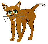 Moon Lake's Whale of a Time @ Mockingbird — “Beluga”