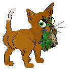 Moon Lake's Whale of a Time @ Mockingbird — “Beluga”