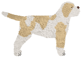 Dragosani MŁODY GNIEWNY — “Yannis”