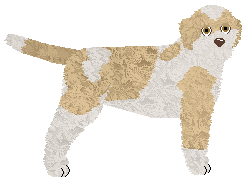 Profile image of Dragosani MŁODY GNIEWNY