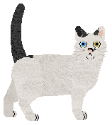 Cafuné Shape of My Heart — “Archie”